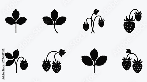 Strawberry plant vector graphics elements simple and clean design concept