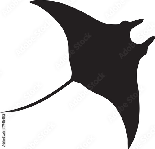 silhouette of a dolphin