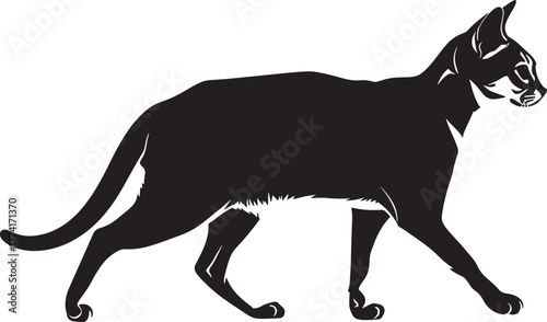 Whisk_516bba5362397b08e6c436a50178cfe3dr_traced