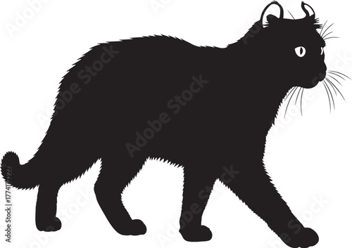 Silhouette of an american curl cat with distinctive curled ears walking and looking to the right, isolated on a white background, vector illustration. profile view.
