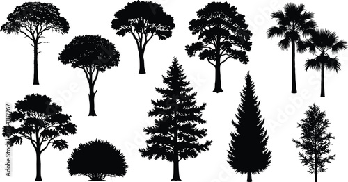 Collection of different tree silhouettes, tropical and evergreen forest vector illustration, black tree shapes on white background for design