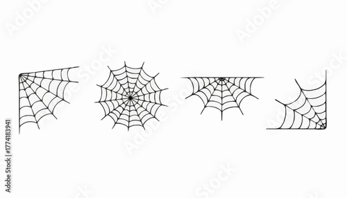 spider web vector