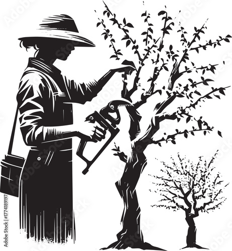 Sumi-e Illustration of a Woman Examining Orchard Trees with Prun
