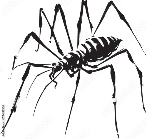 Elegant monochrome illustration of a harvestman spider in sumi-e