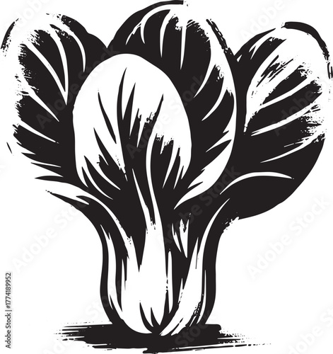 Stylized bok choy illustration, organic food icon with asian cui