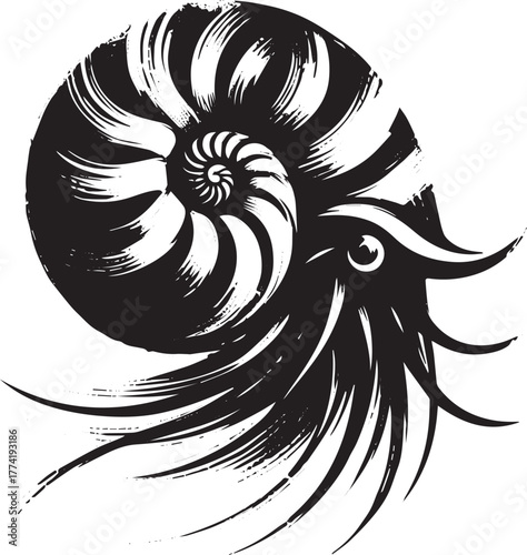 Striking monochrome nautilus depiction evoking sumi-e sensibilit