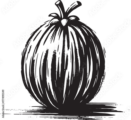 Elegant sumi-e style illustration displaying a single Feijoa fru