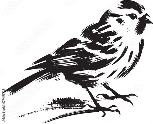 Stylized monochrome depiction of a Canary bird rendered in sumi-