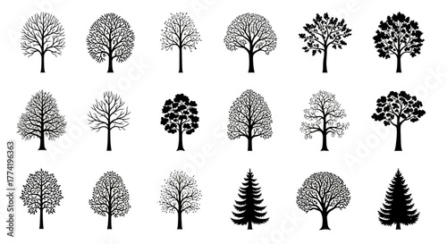 Ultimate Tree Silhouette Vector Collection — Detailed Simple Glyph Icons Set