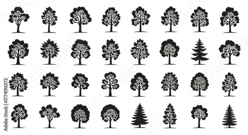 Ultimate Tree Silhouette Vector Collection — Detailed Simple Glyph Icons Set