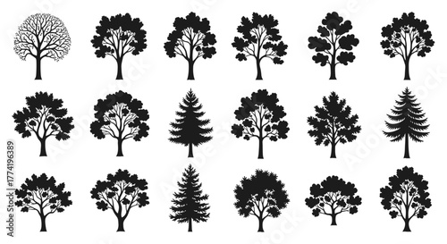 Ultimate Tree Silhouette Vector Collection — Detailed Simple Glyph Icons Set