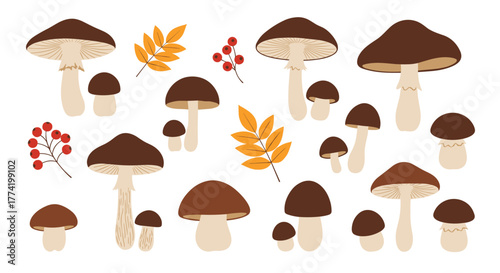 An assortment of stylized brown and beige mushrooms with autumn leaves and red berries, illustrating a fall harvest theme.