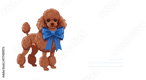 A cute brown toy poodle dog with a stylish blue bow around its neck stands elegantly against a plain white background.