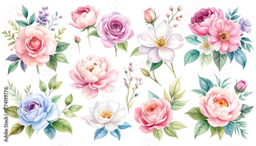 Beautiful Floral Watercolor Collection.
