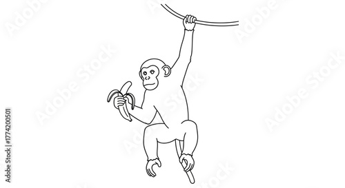 Line drawing of a playful monkey dangling from a vine while holding a banana snack