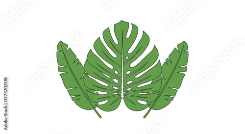 Exotic green tropical leaves, botanical nature foliage, verdant plant background decoration element
