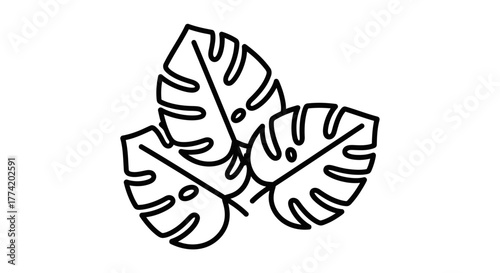 Stylized monstera leaves arrangement on clean white backdrop presenting a minimalist tropical vibe