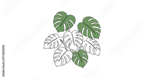 Artistic Monstera Leaf Arrangement in Green Tones and Outline Forms on White Backdrop