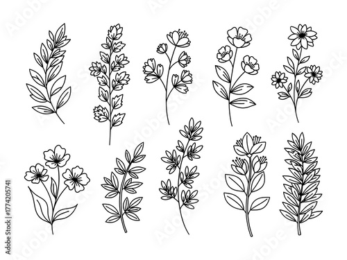 Ten Minimalist Botanical Sketches