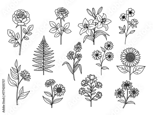 Wildflower and Main Bloom Line Art Assortment