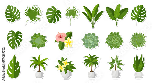 Tropical Plants & Succulents Vector Sticker Collection