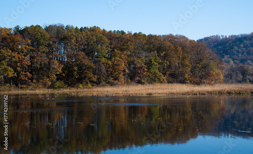 autumn forest scenery by a calm lake  in Minnesota 