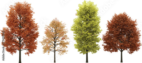 Autumnal Array Diverse Trees in Full Fall Color