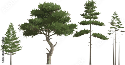 Diverse Collection of Natural Trees Illustration