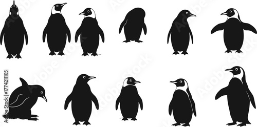 Penguin illustrations in black and white depicting Antarctic birds in standing, walking, and waddling poses suitable for wildlife vector design.