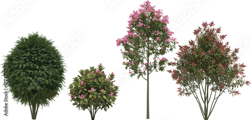 Diverse Collection of Decorative Trees and Shrubs for Garden Design