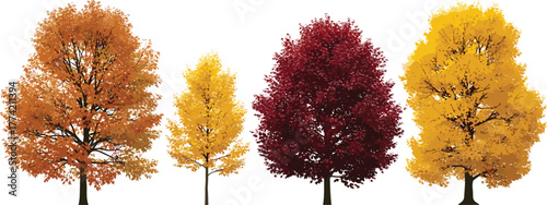 Vibrant Autumn Trees in Full Fall Foliage Displaying a Spectrum of Warm Colors Including Orange, Red, and Yellow