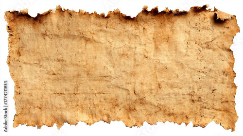 Wallpaper Mural Aged, torn brown paper with distressed texture and burnt edges on white. Perfect vintage background. Torontodigital.ca