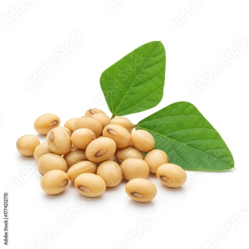 A cluster of soybean seeds with vibrant green leaves set against a crisp white backdrop displaying