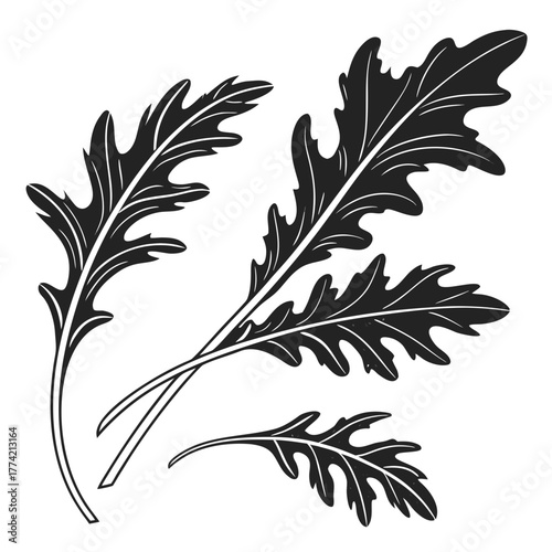 Black silhouette of arugula leaves on a white background