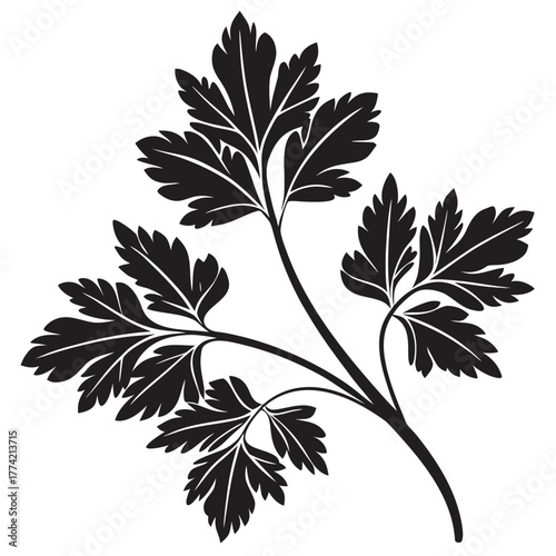 Stylized dark silhouette of a parsley sprig on black background