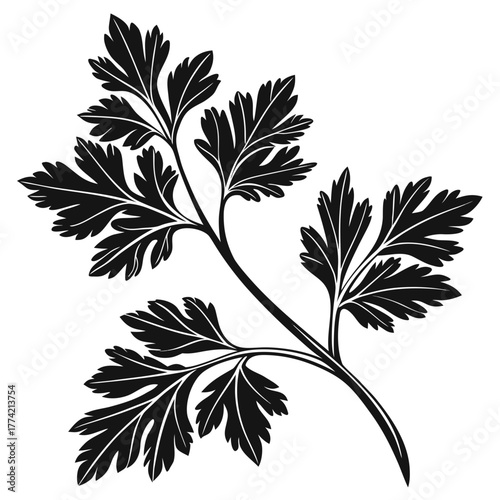 Stylized parsley sprig with dark silhouette and white veins