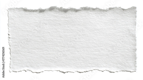Wallpaper Mural Blank, textured white paper with rough, hand-torn edges, isolated on a clean white background, perfect for copy space. Torontodigital.ca