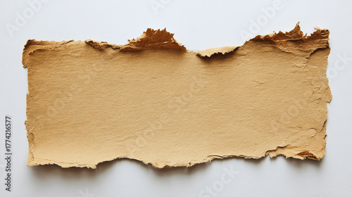 Wallpaper Mural A rustic, torn brown paper with a textured surface, providing blank copy space on a white background. Torontodigital.ca