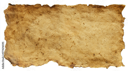 Wallpaper Mural A textured, aged, and torn brown paper with burnt edges and a central hole, isolated on a white background, embodying a vintage and distressed aesthetic. Torontodigital.ca