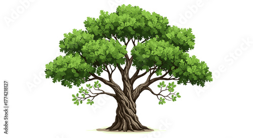 Majestic Green Leafy Tree with Intricate Trunk and Branches Vector Illustration