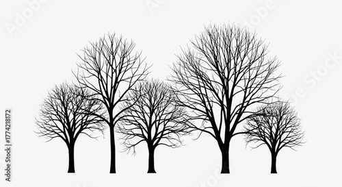 Bare Deciduous Tree Silhouettes Vector Set - Winter Forest Elements