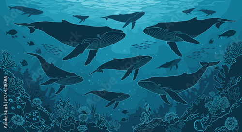 Underwater Blue Monochrome Scene with Humpback Whales and Fish Vector Art