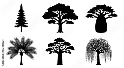 Set of 6 Diverse Tree Silhouettes Vector Illustrations including Pine Baobab and Willow