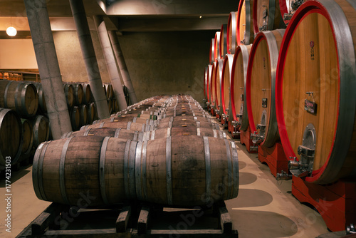 Wine Barrels in an Underground Chilean Winery