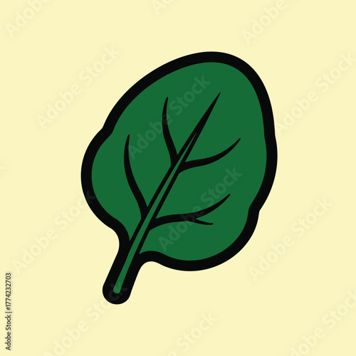 Fresh green spinach leaf isolated on a light background.