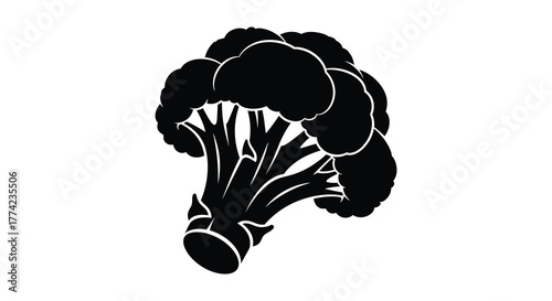 A detailed black silhouette of a fresh broccoli floret with visible stems and florets on a white background silhouette