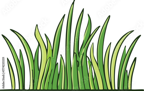 Illustration of a bunch of green grass blades against a white background.