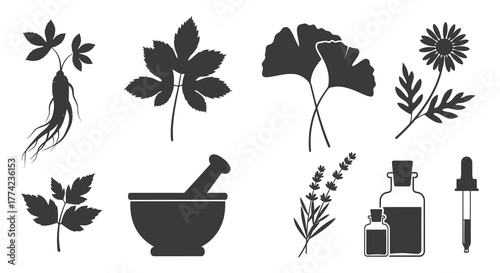 Collection of medicinal plant silhouettes including ginseng ginkgo and lavender with mortar pestle and essential oil bottles silhouette