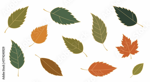 Colorful Autumn Leaves Vector Illustration A Vibrant Collection of Fall Foliage for Your Designs
