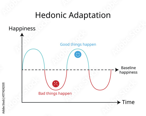 Hedonic adaptation is the psychological process by which people quickly return to a relatively stable level of happiness despite major positive or negative life changes
